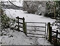 Snow in the Honey Brook valley