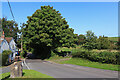 Road Junction in Edington