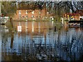 Houses reflected in floodwater