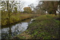 Lark Valley Path and River Lark