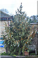 Membury : Christmas Tree