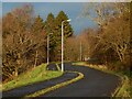 Road leading from the rugby pitch