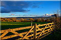 Axminster : Grassy Field & Gate