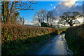 Axminster : Uphay Lane