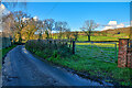 Axminster : Country Lane