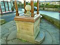 The Fountain of Life, Main Street, Burley-in-Wharfedale - detail