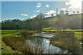 Axminster : River Yarty