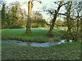 Carr Beck crosses a field