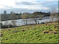 The old bed of the River Severn north of Coton Hill, Shrewsbury