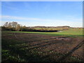 View towards Mickleborough Hill