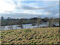 The old course of the River Severn viewed from near Coton Grange