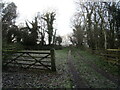 Bridleway on Bunny Hill