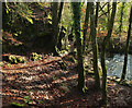 Closed path above the Bovey