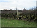 Stile in hedge