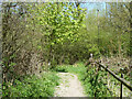 Path out of Norsey Wood