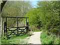 Path out of Norsey Wood