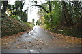 Track to Chartfield Farm