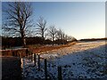 Winter afternoon at Hamilton High Parks