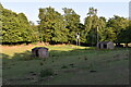 Pony paddock and shelters near Amberfield Drive