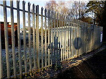 H4772 : Shadows on security fence, Cranny by Kenneth  Allen