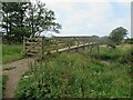 Footbridge over the River Aln