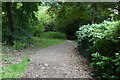 Footpath south of Peltham Cottage