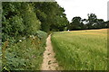 Footpath along field boundary