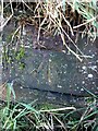 Benchmark Owlcotes Lane, Pudsey