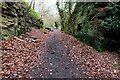 Footpath in cutting, Highley, Shrops