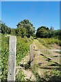 TQ4214 : Licensed path, near Barcombe by PAUL FARMER