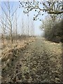 Bridleway near Holcot