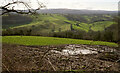 View from Pepperdon Down