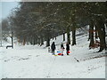 Enjoying the snow, Lennox Park