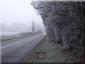 A449 in the Mist