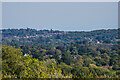 East from Brockham Quarry