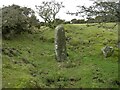 Old Boundary Marker on the northern boundary of Cardinham Moor