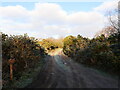 Track to Heath Cottage