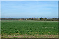 Farmland north of Skreens Park Road