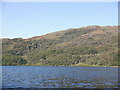 NM6751 : Loch Arienas, Morvern by Richard Webb