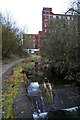 River Medlock and Majestic Mill, Waterhead