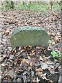 Old Boundary Marker in Reins Wood, Brighouse