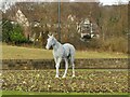 The white horse of Horsforth (1)