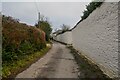 Braunton : Country Lane