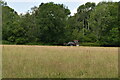 Tractor in meadow