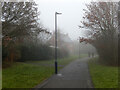 Path to Cawston Grange Drive