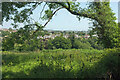 Across the Cockington valley