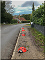 Ladybird bollards