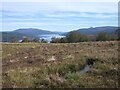 NN5356 : View down Loch Rannoch from Coille Mhòr by Richard Webb