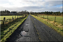 H5073 : Pothole, Hillfoot Road by Kenneth  Allen