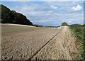 Farmland at Yarhampton Cross